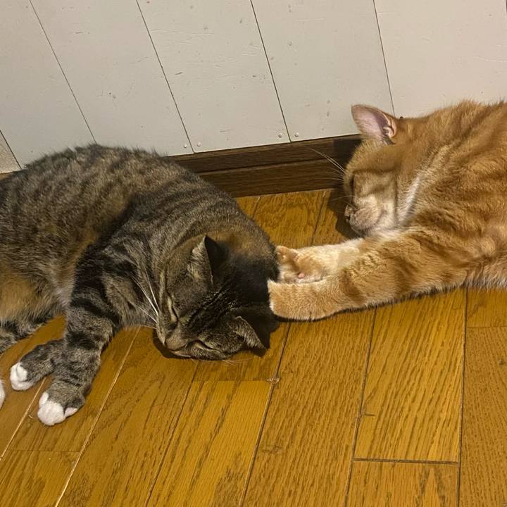 Caa83259 bc0e 4458 b58c 4256eec1341f 1660659193149