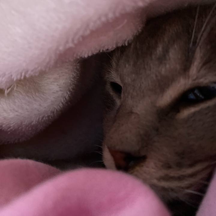 Caa859f8 0a98 42d9 9329 e6e1c941ea7b 1634169332701