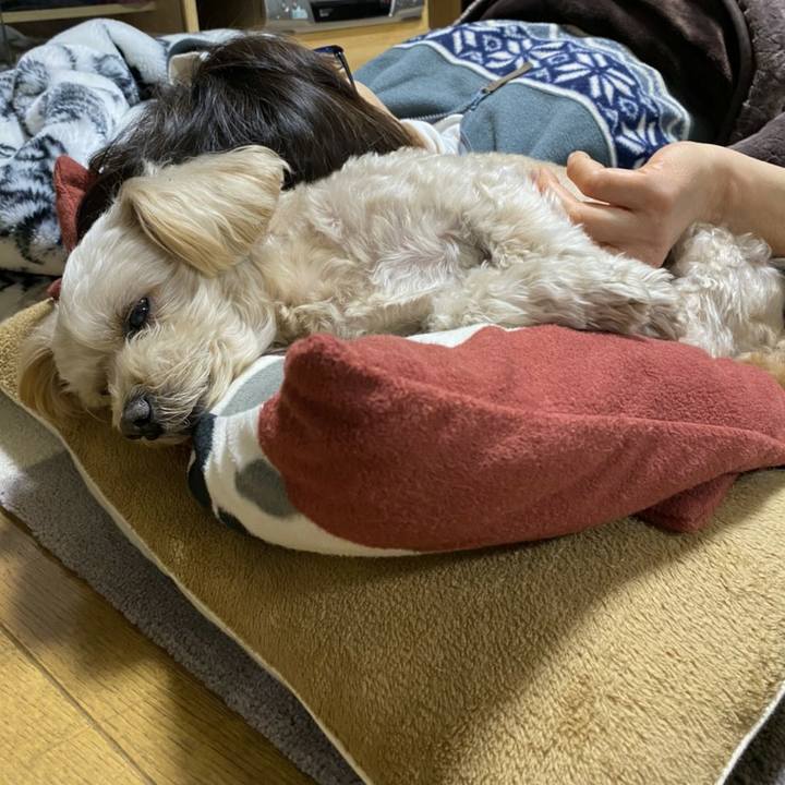 Caa87202 3a00 4a95 b639 e95f75802d2b 1608733685814