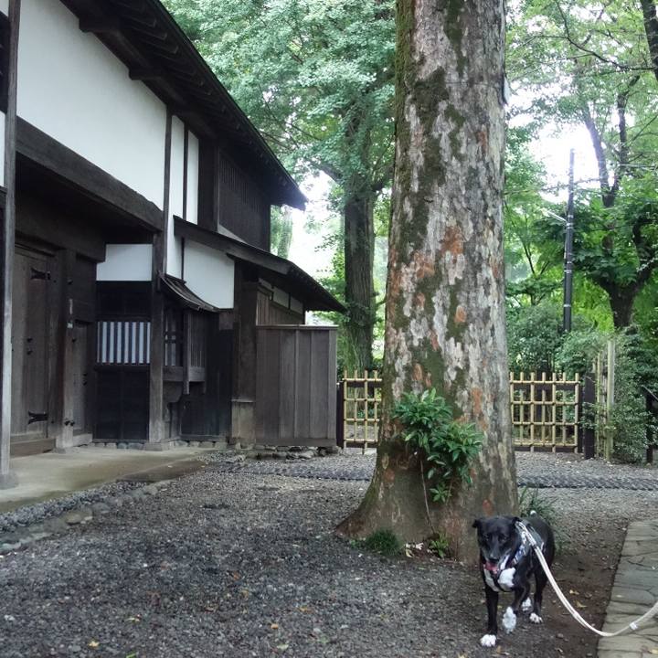 Caa8ab5b 982f 422f acae 3074d1fbaca2 1659828504875