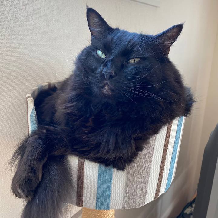 Caa8b934 d2ec 44ec 9de3 ca766c6963ac 1636699695270