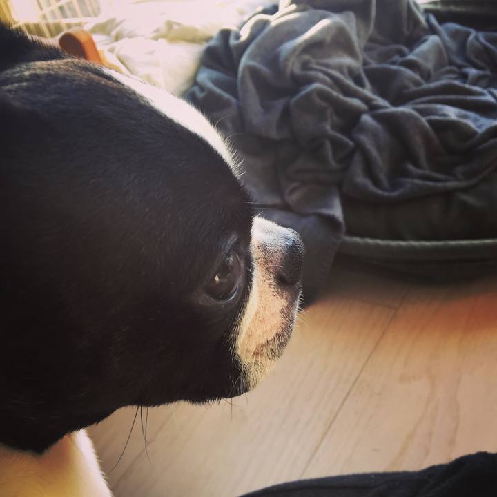 Caa8ca81 3a51 4db9 815e 3eede9136256 1542379573057