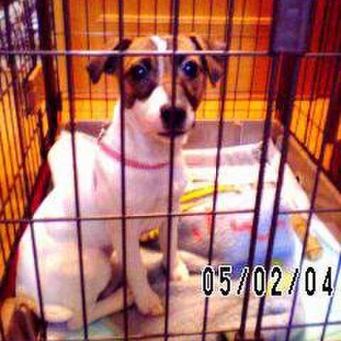 Caa8df93 7aeb 4b4b ae35 0e9c771e4076 1519614439245