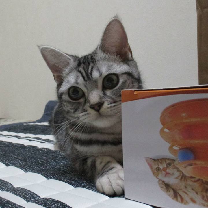 Caa90489 1487 40da 9ada 11cd1b948ba8 1549336561190