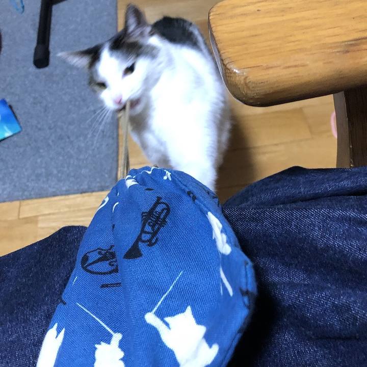 Caa92938 2890 450c 96a6 790edbcea498 1661686791610