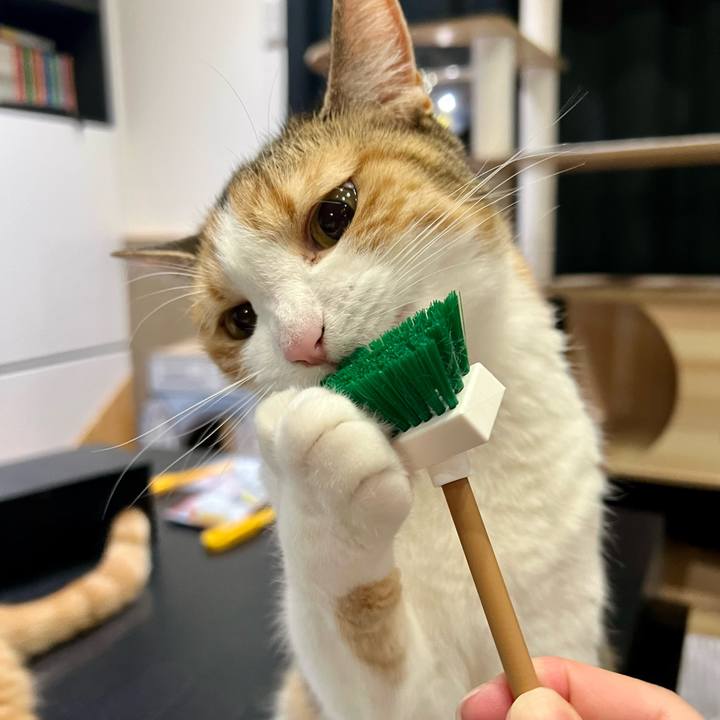 Caa9572a d03f 4b20 aec9 ca07ab23a43b 1783309103468
