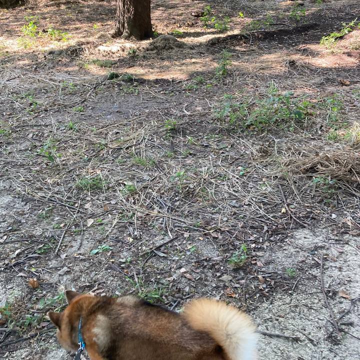 Caa981c8 4db7 47fd ba83 ff75243f58e8 1726113603299