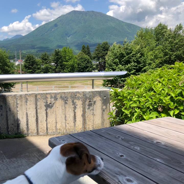 Caa9b846 7c1d 44d2 a516 01bcad60556f 1528457173889