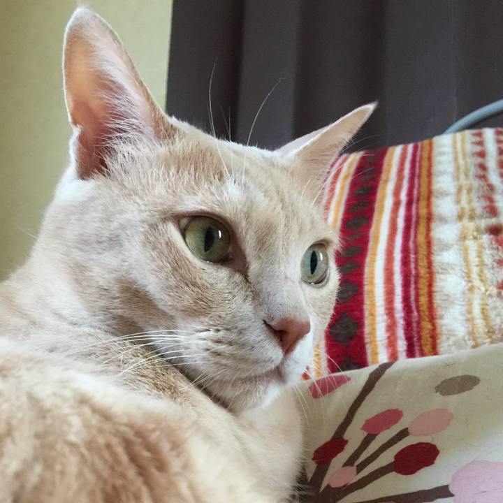 Caa9c060 f7a1 437d 9ed4 48ca797bcbb1 1529385005226