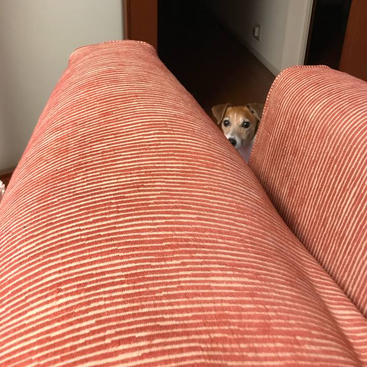 Caa9c8c9 9bef 48df 8c8f 50b84cecf5d8 1514635088475