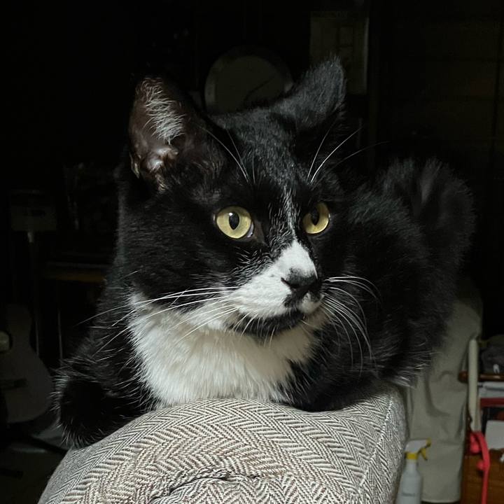 Caa9cb5a 35ea 494f 8507 6480fabd7ce6 1730957219785