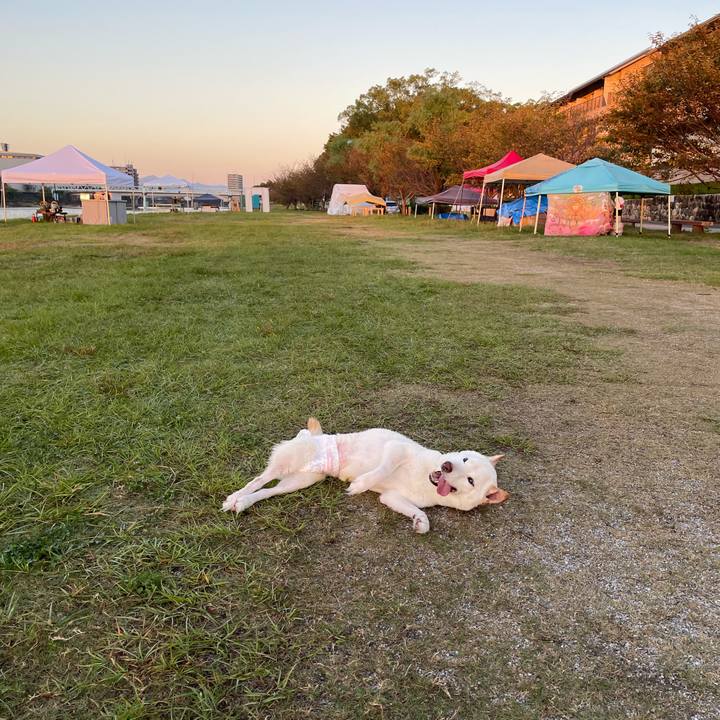 Caa9d07d f6ca 476b 9183 06a5b86d722c 1665785449679