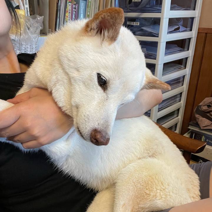 Caa9d245 cdab 4b04 b9d2 d0b0d077a76c 1654829523764