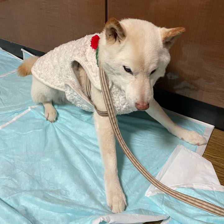 Caaa2ae8 5101 4041 954d 8ba099b722b0 1639567055531