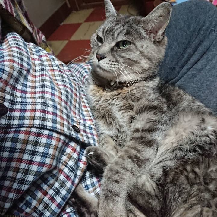 Caaa54df a80e 4ea9 a05a 6ca1acbf7932 1576910634028