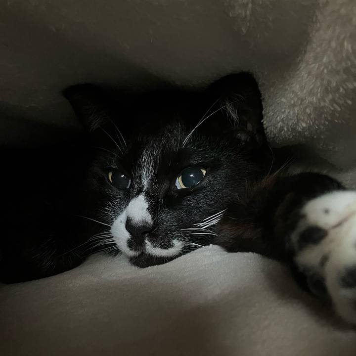 Caaa5627 c746 4150 8172 347d66472082 1770781595820