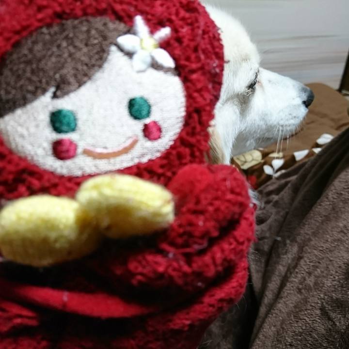 Caaad0c2 4205 4e4d 8709 4ed1dee9eb7d 1515571549800