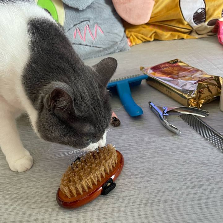 Caaaf004 1c47 46ce 99e9 5b6fc39e6877 1753582173027