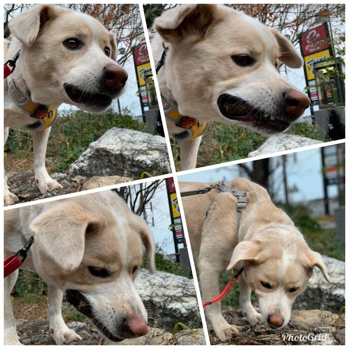 Caab2a1f ca4a 4e58 bd2e 660834ecbb1b 1577330763887