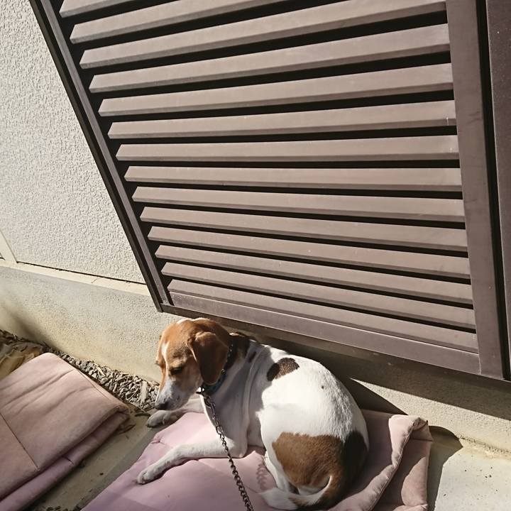 Caab7c25 c2ee 44be 9a1a 9e409fa7ea56 1572233181252