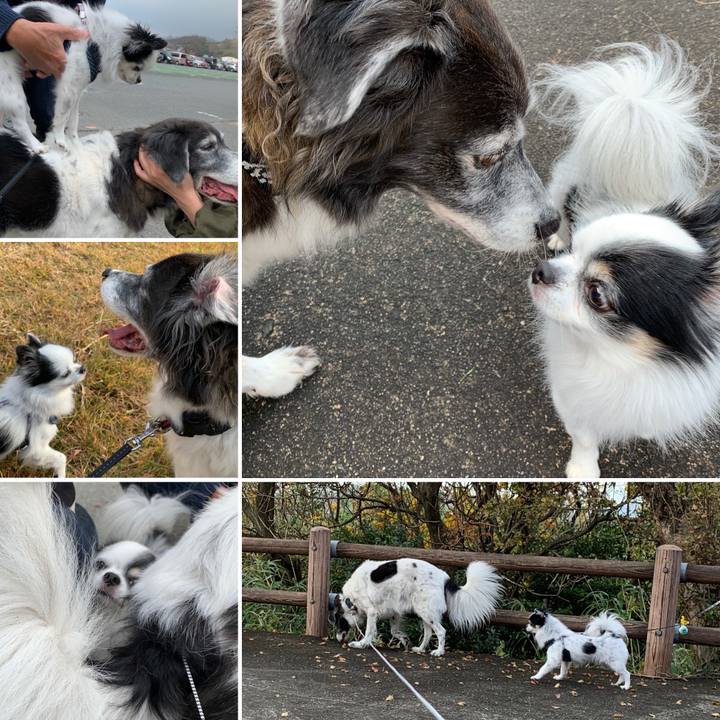 Caab8302 025a 48f5 9848 f6efbc8edfc0 1574946243797