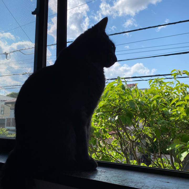 Caabb075 16df 4b0c a383 49132dfce18b 1651664200421