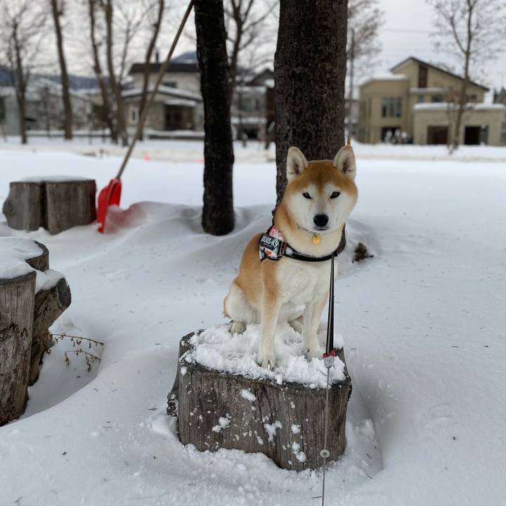 Caabb681 5505 4f51 8fd4 19c2cb648325 1611190671188