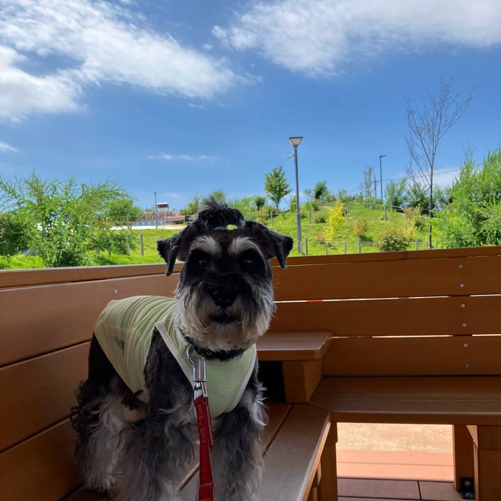 Caabcffb 25fe 4a76 aa07 c92d85b9ed8c 1722166989390