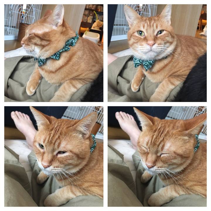 Caabdca6 876c 4cc6 bddc 59c592e9f6a8 1546987541459