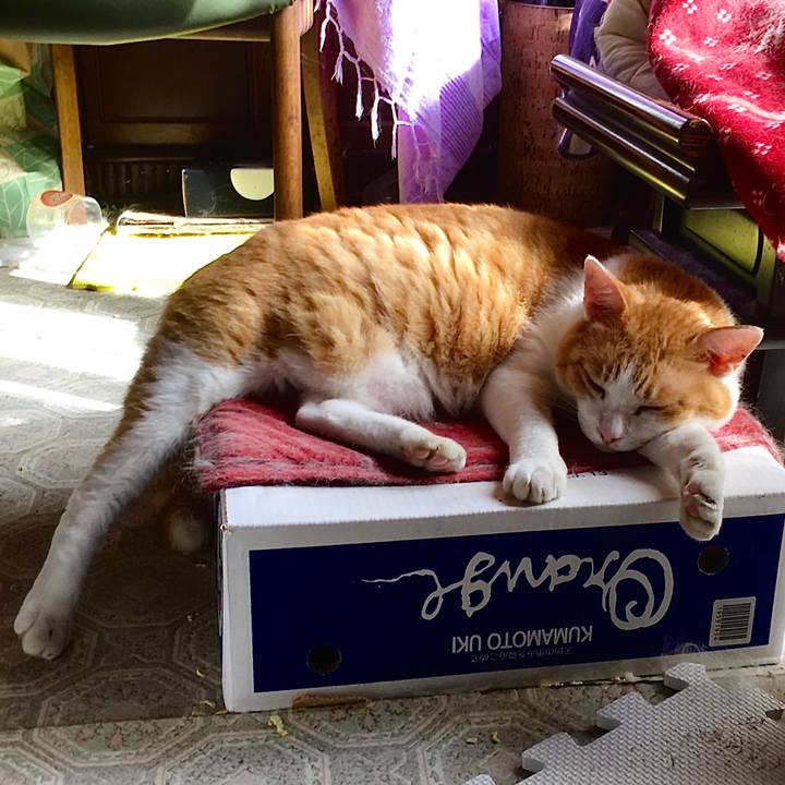 Caabe4cc 3511 4e6a a680 ba422fd051a1 1599549969727