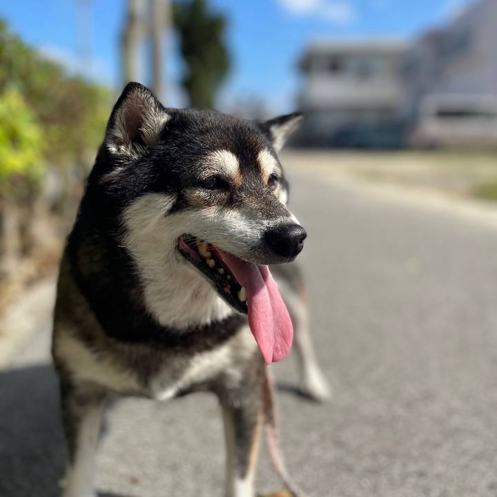 Caac0b0d 203e 447d a790 4347b4f99d80 1668408454115