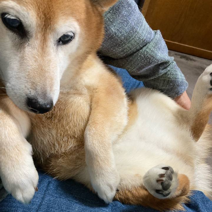 Caac14e8 8f1d 45e2 a243 f9f5f967d938 1717380100401