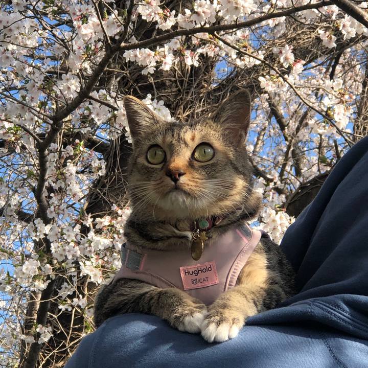 Caac6517 a37a 492e a228 735e008a023b 1743924098929