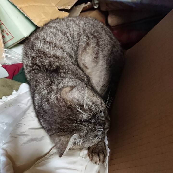 Caac70af 9008 4448 8a90 7d94122aee17 1559984049432