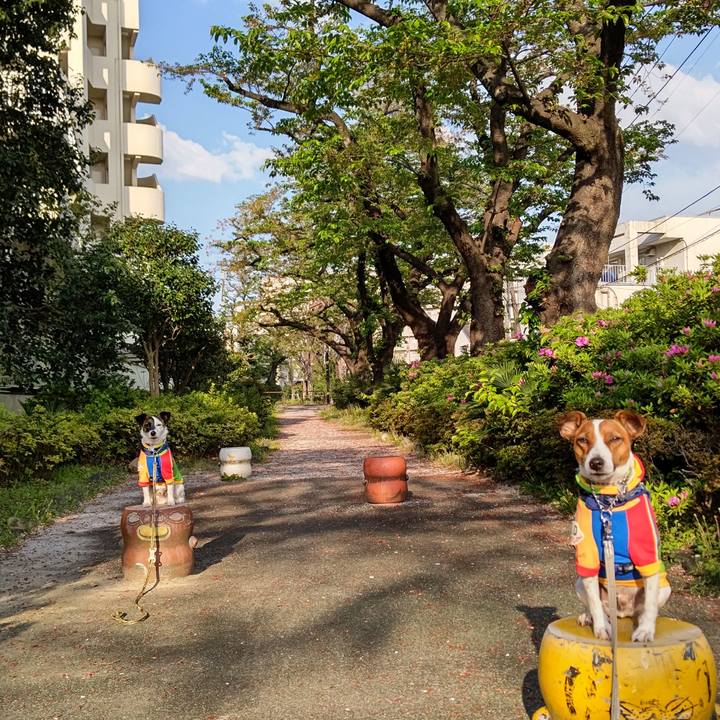 Caac8726 d3ac 4af3 ad33 ed43adc1718c 1617833044194