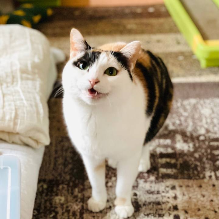 Caacbd9d e169 4627 8046 2a98b4d91201 1612491155259