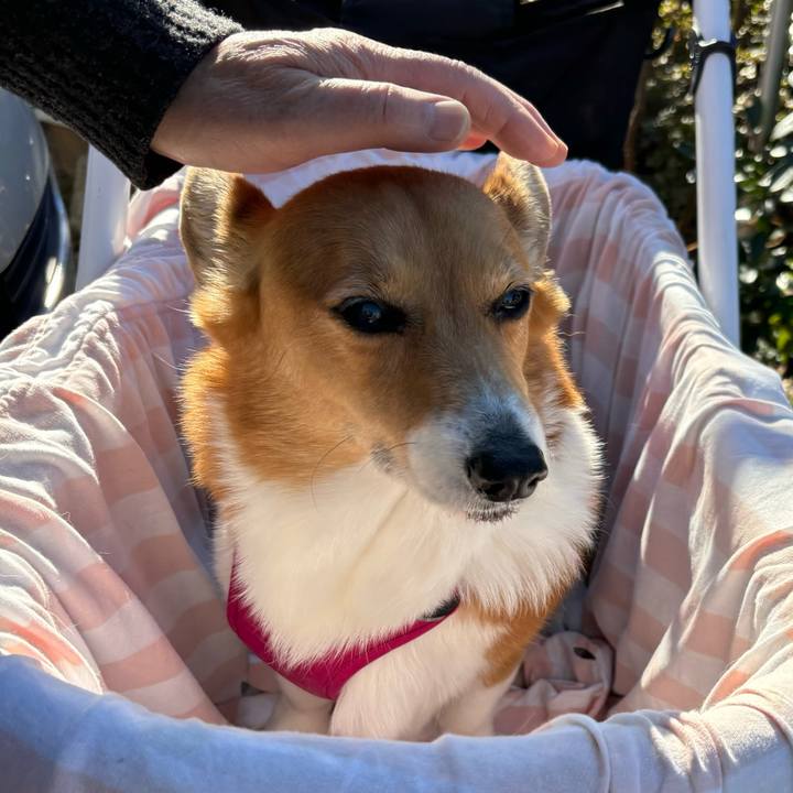 Caad0702 6fb7 4232 9a20 cd8b0ca6084f 1735007007573