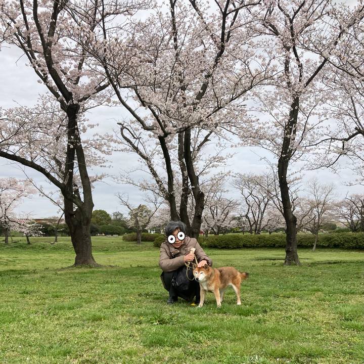 Caad131c c5a6 44fb 891f 4e67a88afda8 1679888924600