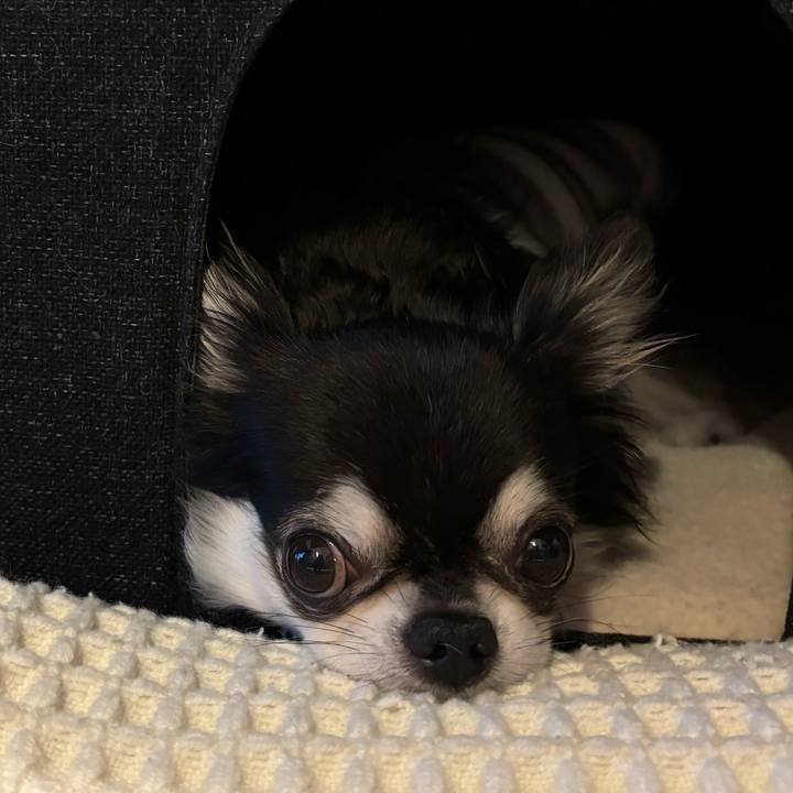 Caad28a2 971f 45ba 9365 4bf28c014392 1730566135183