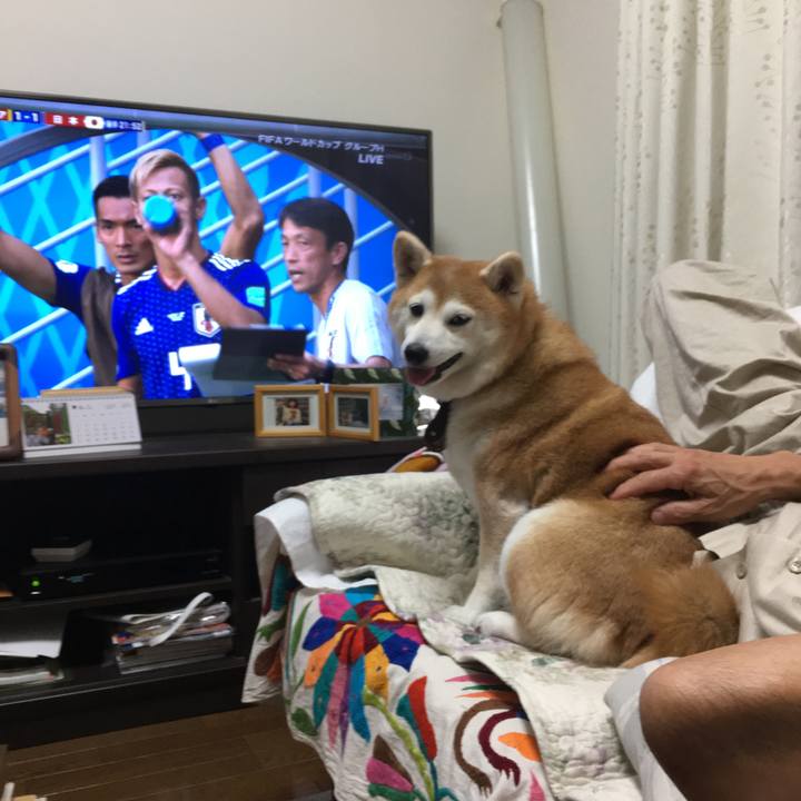 Caad4e16 3c95 4a6a 8d19 8fdc31dce3b4 1529414857856