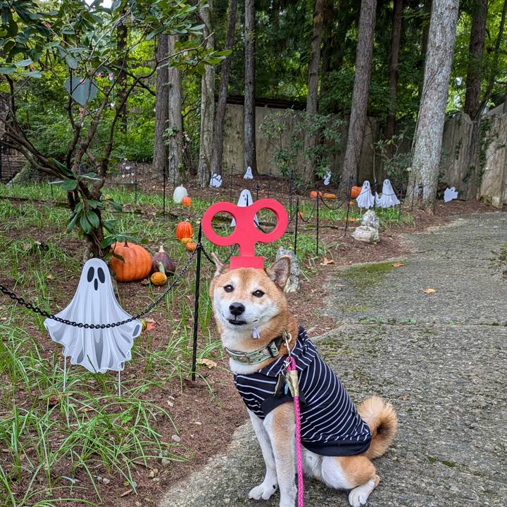 Caad688d 4ecd 4210 86d1 01918d37e5da 1727703999815