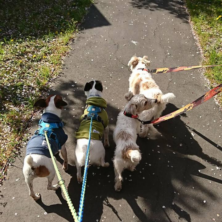 Caad9049 a99e 41f0 9a74 2f855bbfacec 1586153981773