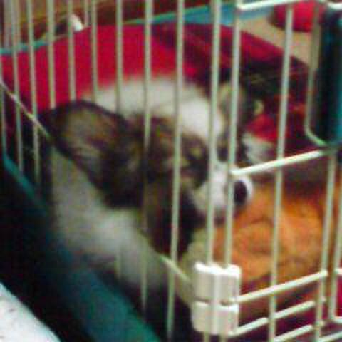 Caad929b b49c 4a72 9d08 ae421797dd96 1551958957670