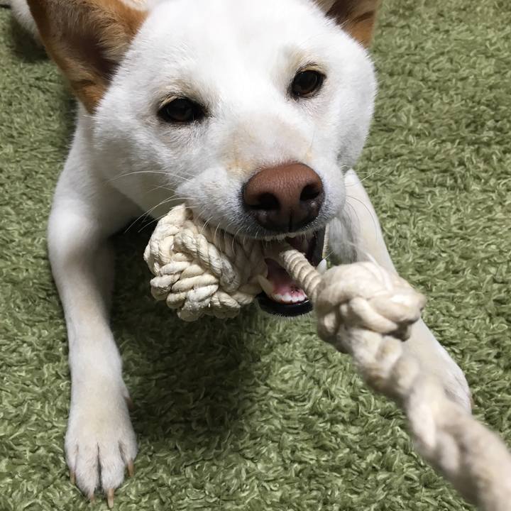 Caadd428 14c3 43da a4a7 21686f5ff85c 1518173048395