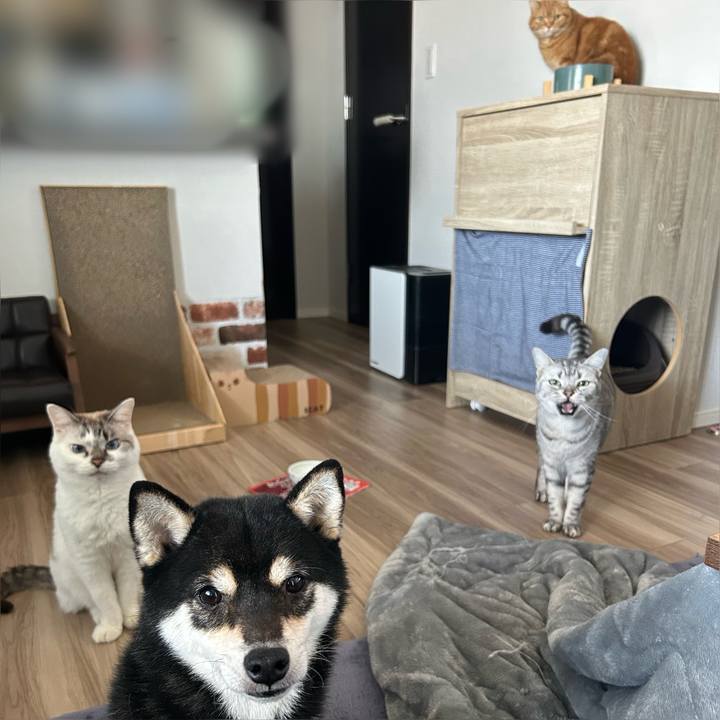 Caae299c e545 45c8 8695 2d6a526304fd 1738400825467