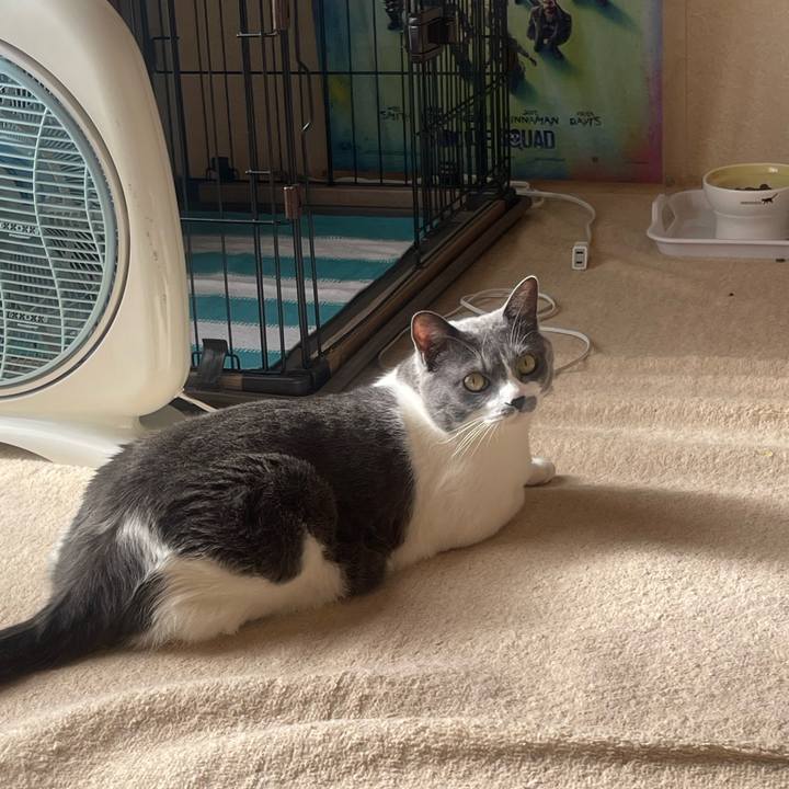 Caae4d1d fc5c 437f b9ec 57ae6ff738d7 1702173272262