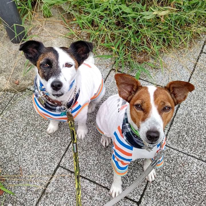 Caae6a8b 45dc 4faa bd1d 617dd0375e0a 1662675692841