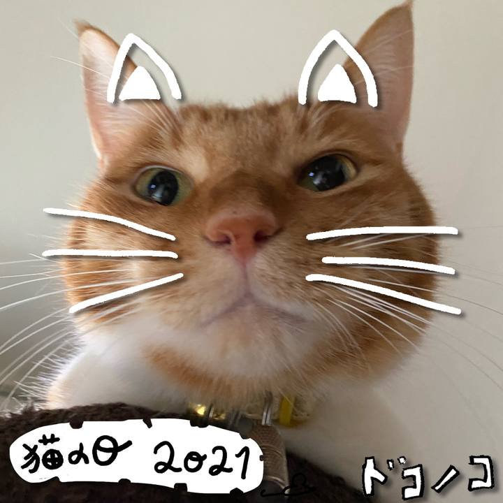 Caaea56a ffd7 44a9 8ad5 cd6c6911fd77 1613967480531