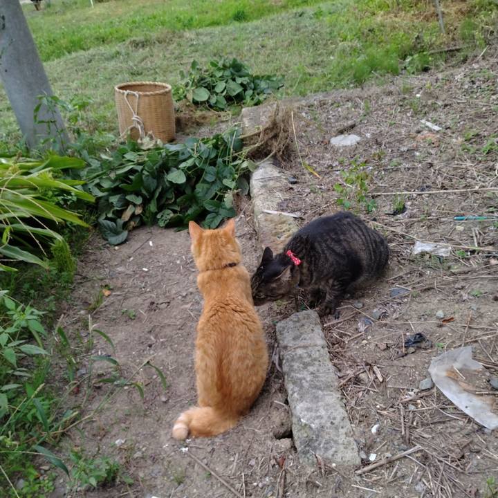 Caaed8db 330a 4e41 bdab 12abcef2cd40 1663495611803