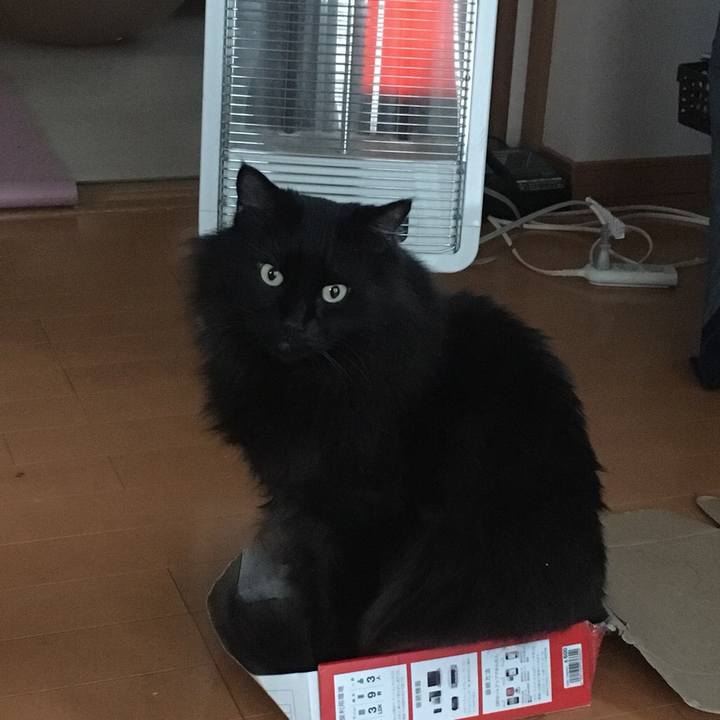 Caaefd29 4266 40f2 8e78 198afb96313d 1544139281801